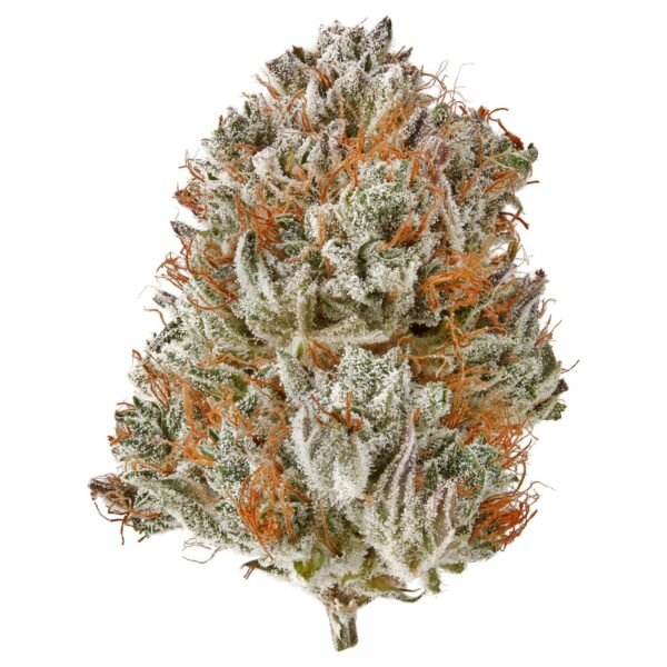 Berry Pie THCa Flower strain with vibrant green and purple buds, frosty trichomes, and a sweet berry pastry aroma.