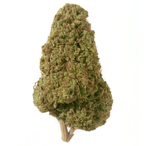 Durban Poison THCa Flower strain featuring dense, bright green buds with frosty trichomes and a sweet, earthy aroma.