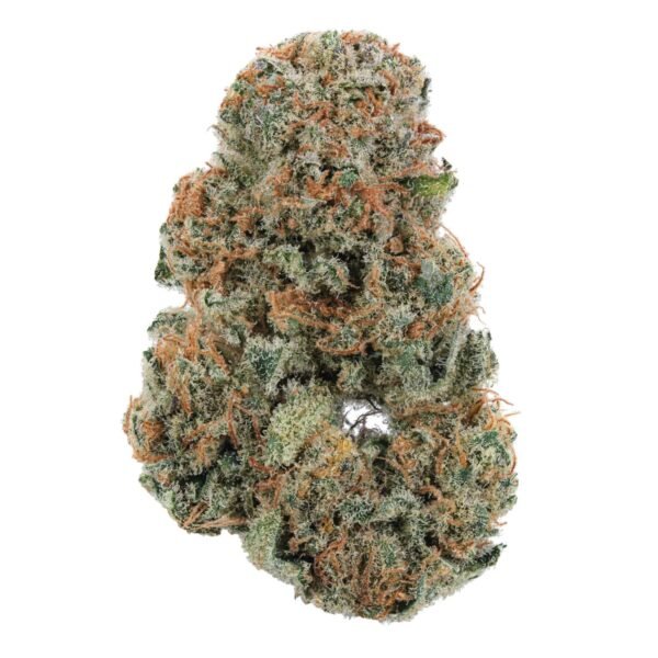 Gary Payton THCa Flower for bulk wholesale, premium hybrid strain with balanced effects.