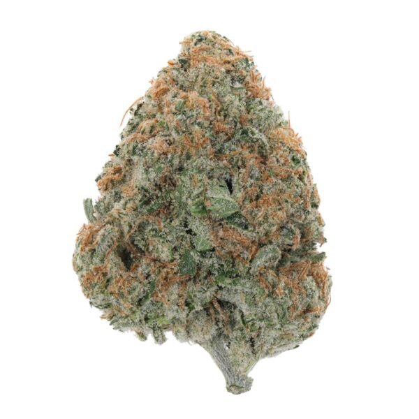 Gelonade THCa Flower strain showcasing vibrant green buds with orange pistils and a frosty layer of trichomes, exuding a sweet citrus aroma.