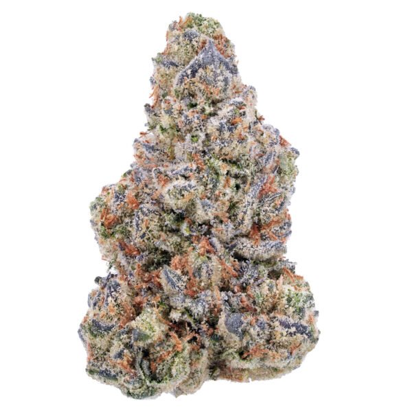 Jack Herer THCa Flower buds with vibrant green color and orange pistils.