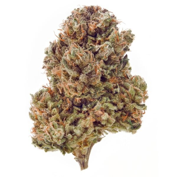 Peanut Butter Breath THCa Flower dense buds with earthy, nutty aroma