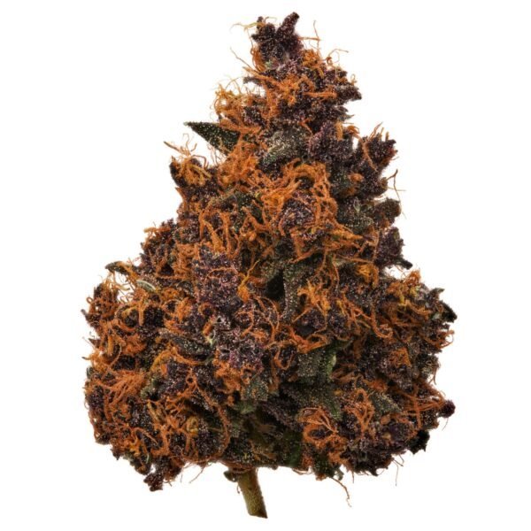 Pink Rosay THCa Flower in bulk for wholesale.