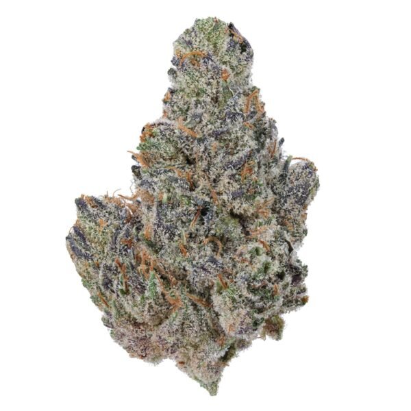 Sundae Driver THCa Flower for bulk wholesale, sweet flavored strain with high potency.