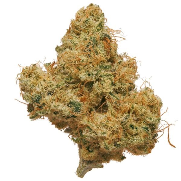 Sunset Sherbert THCa Flower for bulk wholesale, fruity flavored strain with high potency.
