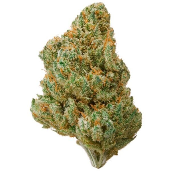 Twisted Citrus THCa Flower for wholesale, citrus-flavored hybrid strain with high potency.