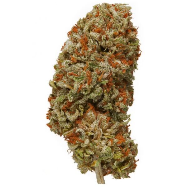 Uplifted Mind THCa Flower for wholesale, hybrid strain with uplifting effects and citrus flavor.