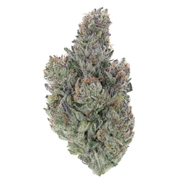 Vanilla Frosting THCa Flower - High-Quality Cannabis Strain with Sweet Aroma and Potent Effects for Wholesale Buyers