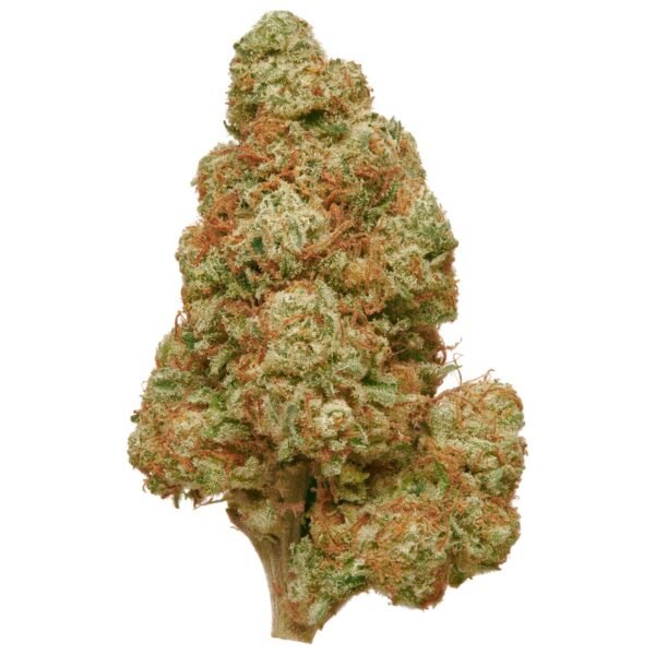 White Fire Alien OG THCa Flower, high-THCa strain for wholesale distribution, earthy and citrus flavors.
